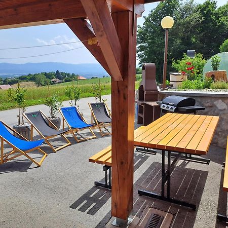 Apartments Jernej With Onsite Wellness Brežice Dış mekan fotoğraf