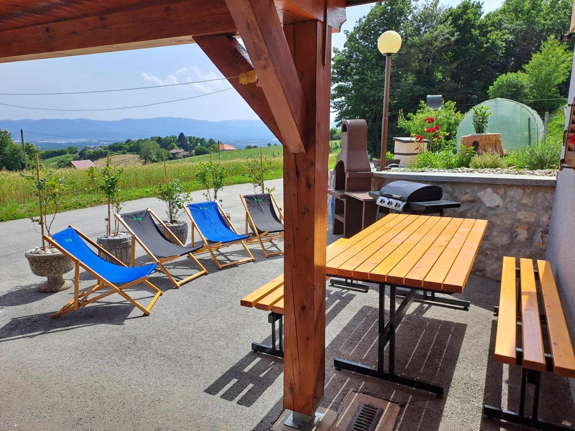 Apartments Jernej With Onsite Wellness Brežice Dış mekan fotoğraf